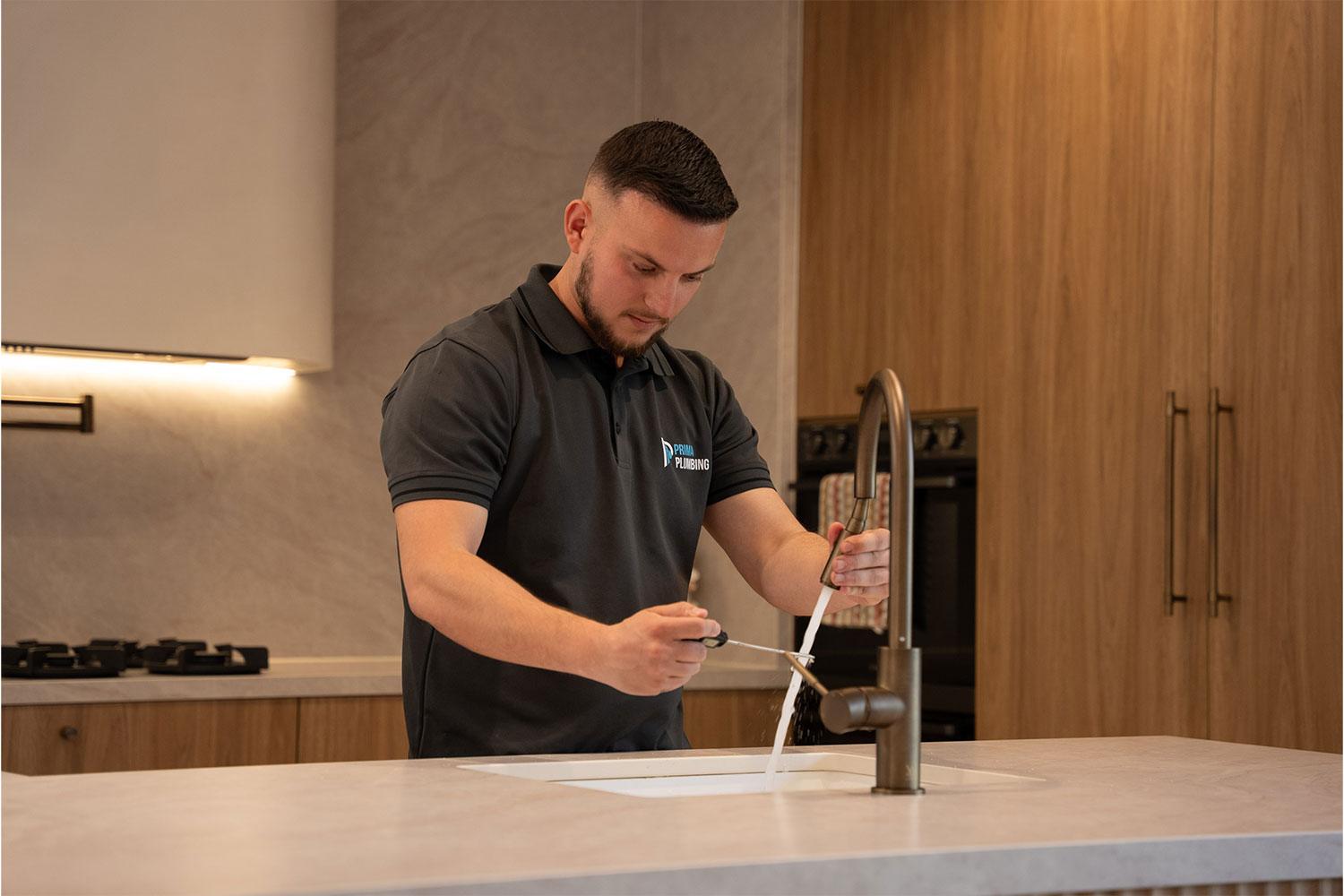Tap and toilet repair service